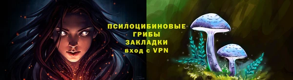 ГАЛЛЮЦИНОГЕННЫЕ ГРИБЫ Алексеевка