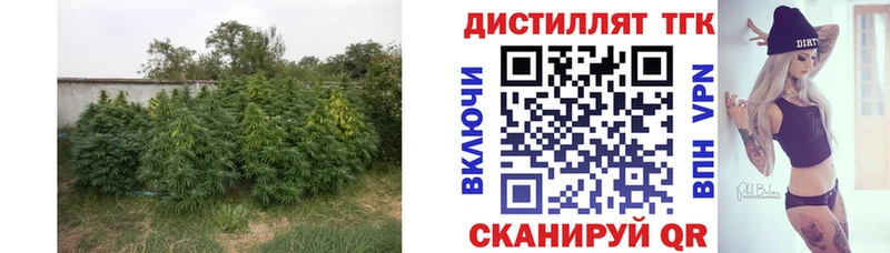 где купить наркоту Инсар Дистиллят ТГК Wax