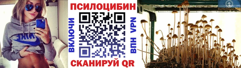 Псилоцибиновые грибы GOLDEN TEACHER  Инсар 