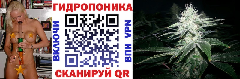 Шишки марихуана план  Инсар 